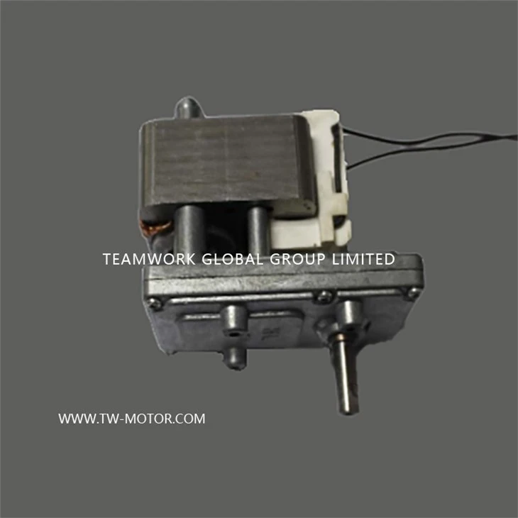 Motor For Electric Oven