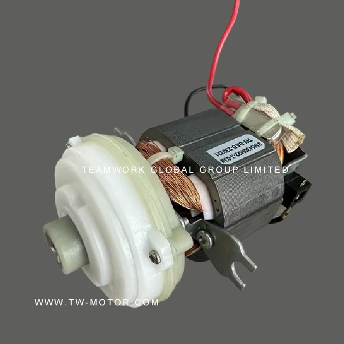 Professional Juicer Motor