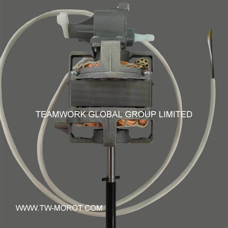Special Fan Motor
