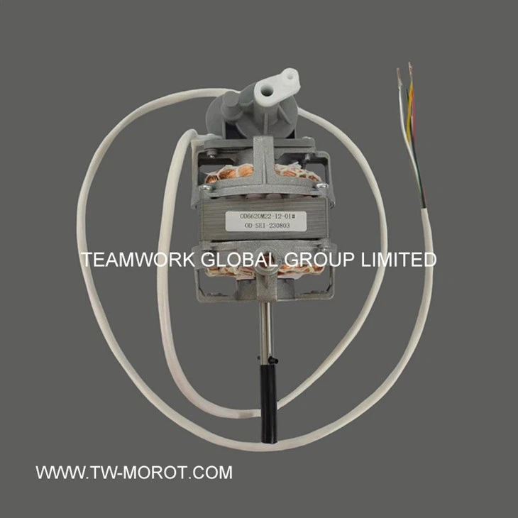 Special Fan Motor