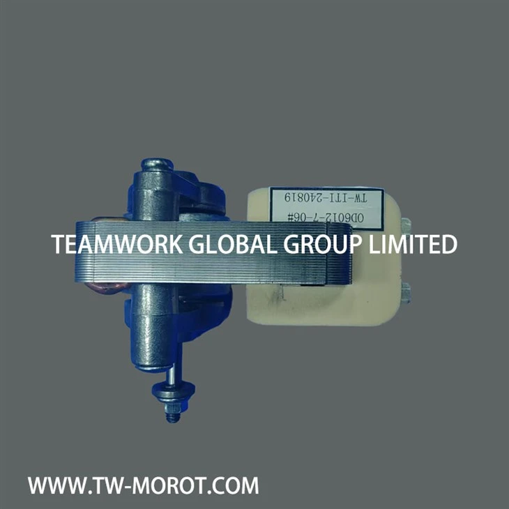 Shaded Pole Asynchronous Oven Motor