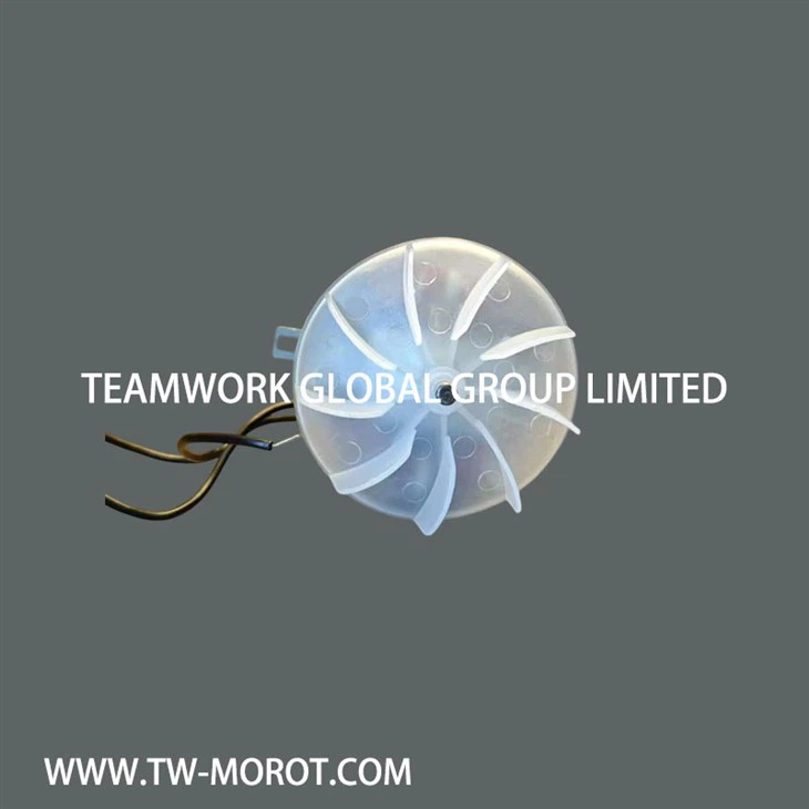 Portable Blower Motor